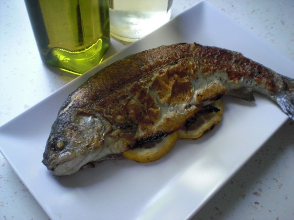 Păstrăvul leneșului